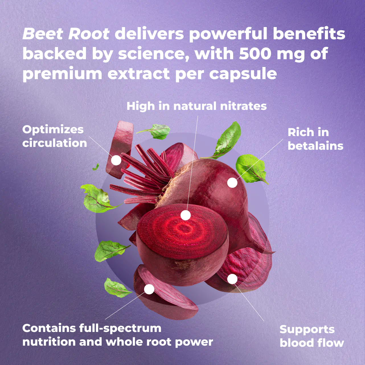 Beet Root