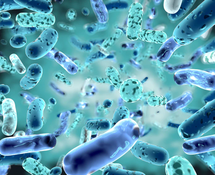 probiotics