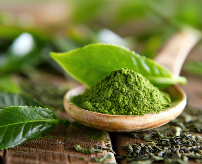 green tea extract