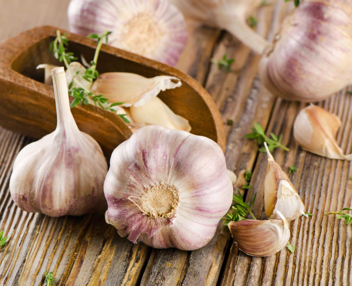 garlic