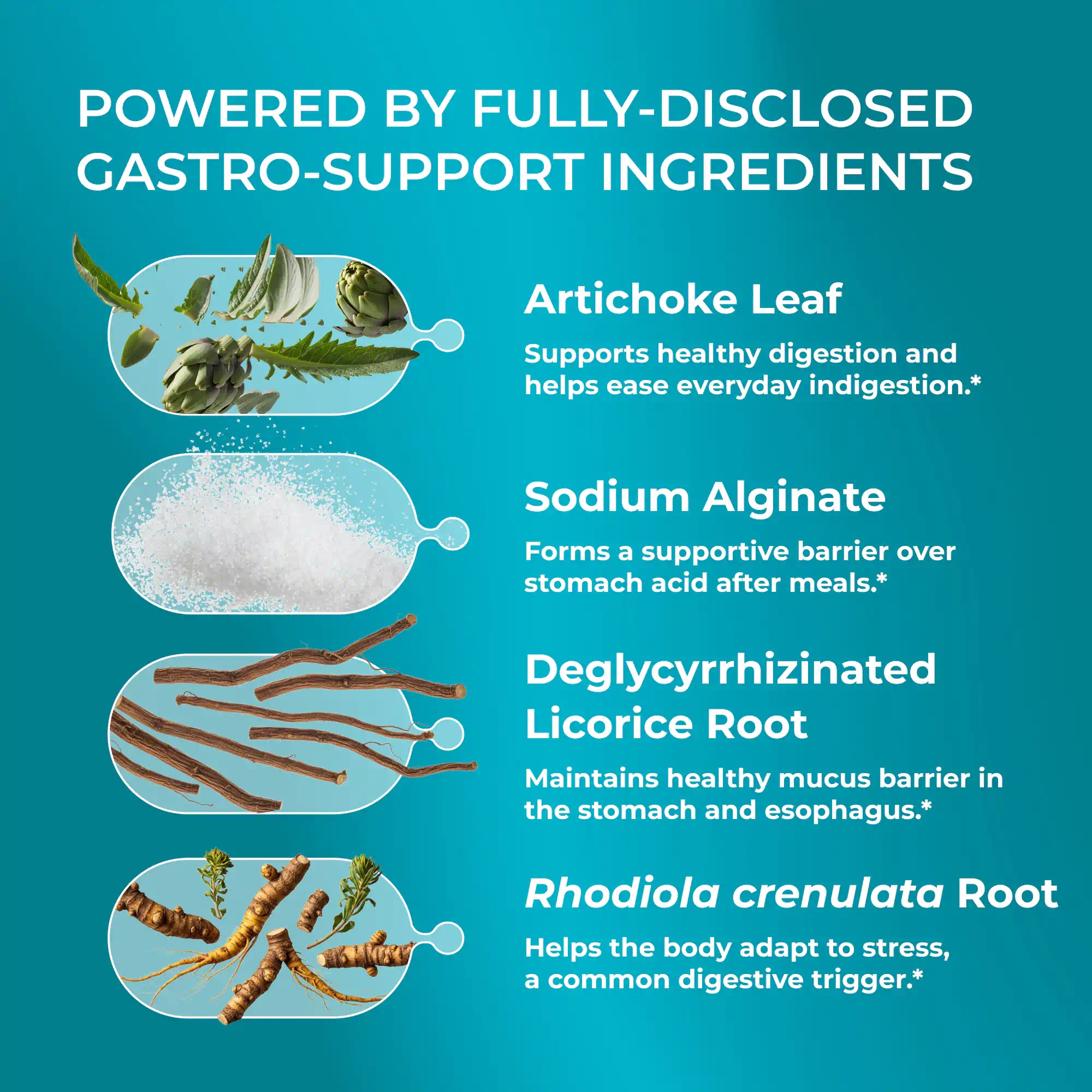 Gastro Health Formula