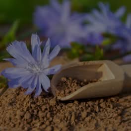 INULIN (FROM<wbr> CHICORY ROOT)