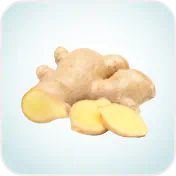 Ginger